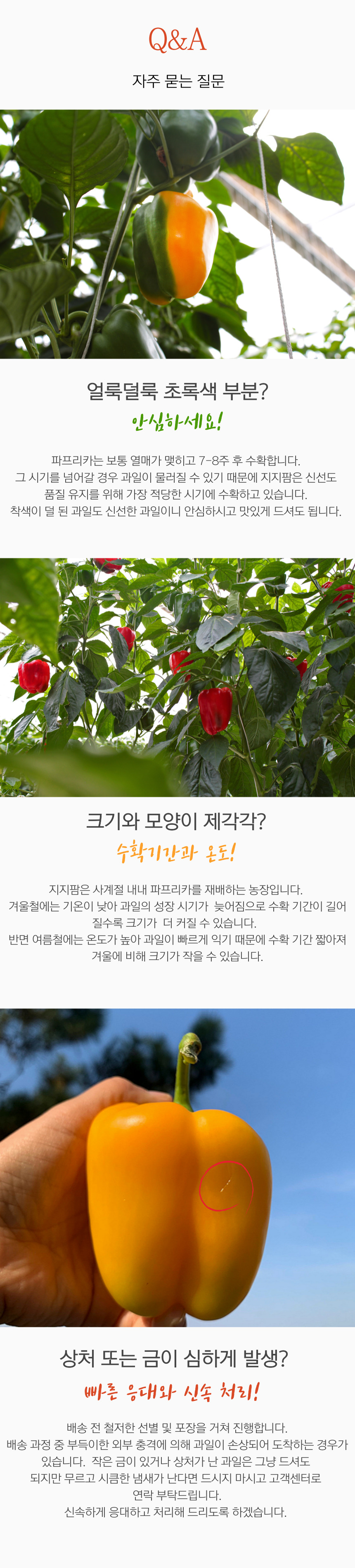 고정 하단 _1 (10)